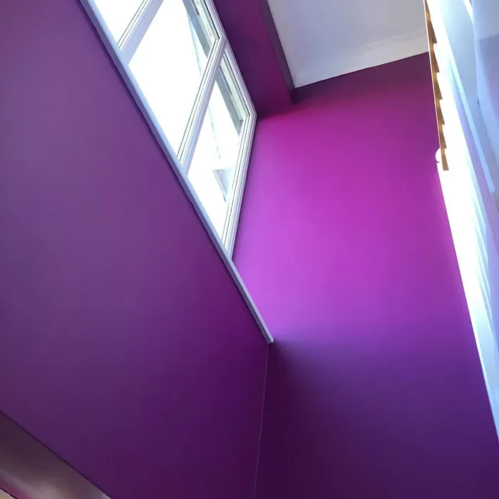 Dulux Damson Dream 2 hallway color