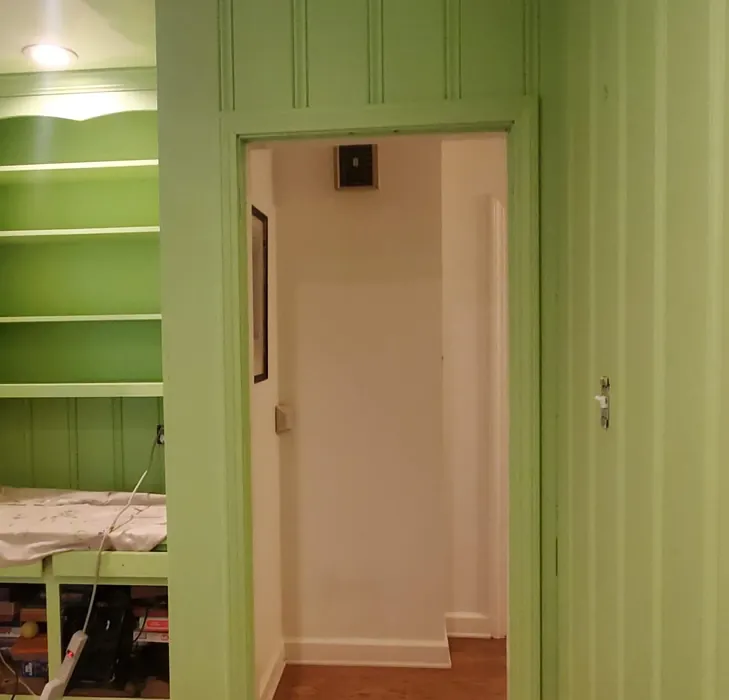 SW Dancing Green wall paint color