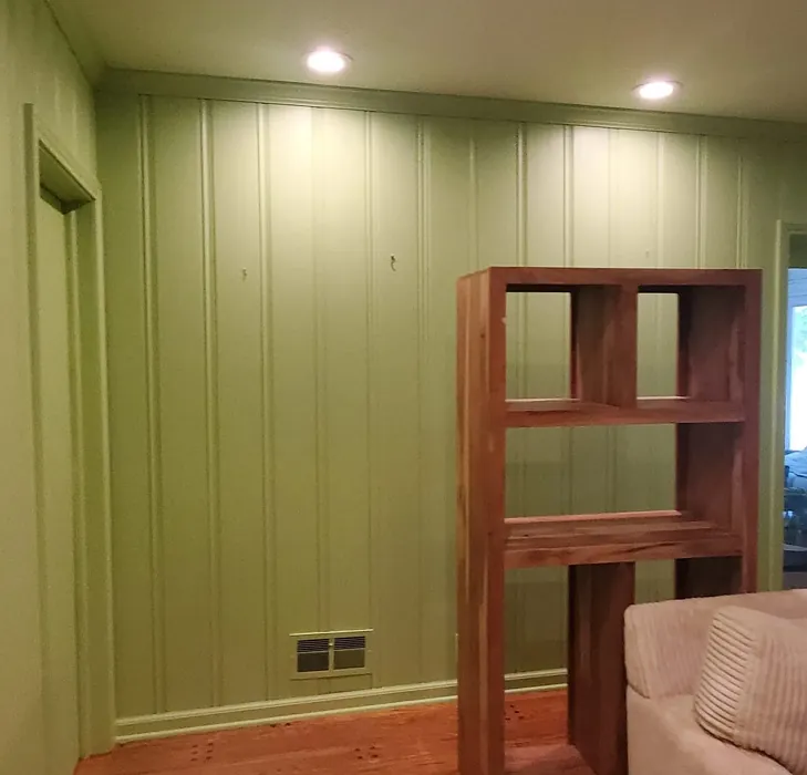 SW Dancing Green wall paint color review