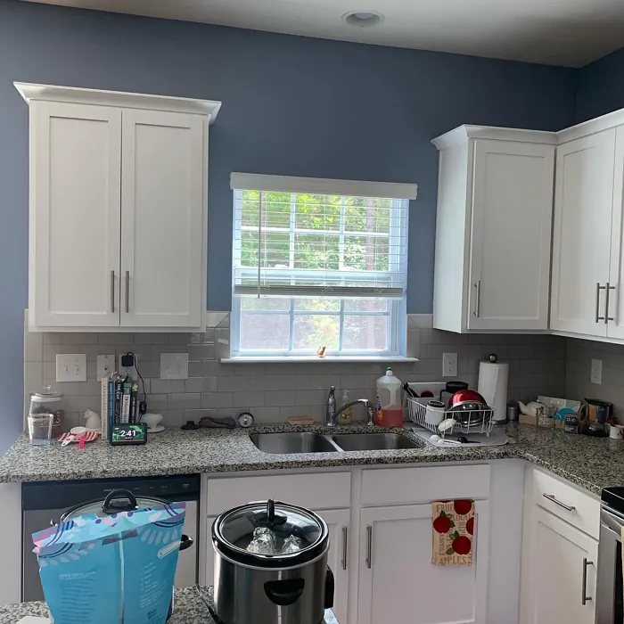 SW 9151 kitchen paint review