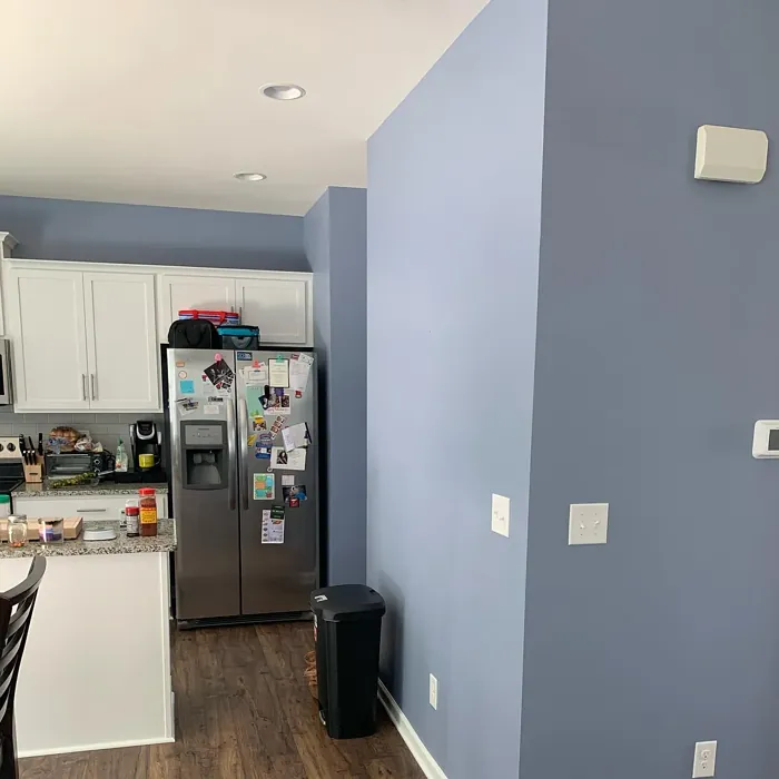 Sherwin Williams Daphne kitchen paint review