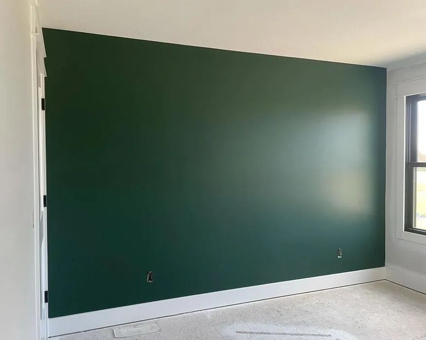 Sw 0041 accent wall