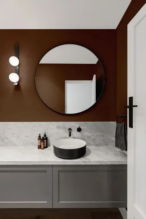 Sherwin Williams Dark Brown minimalist bathroom