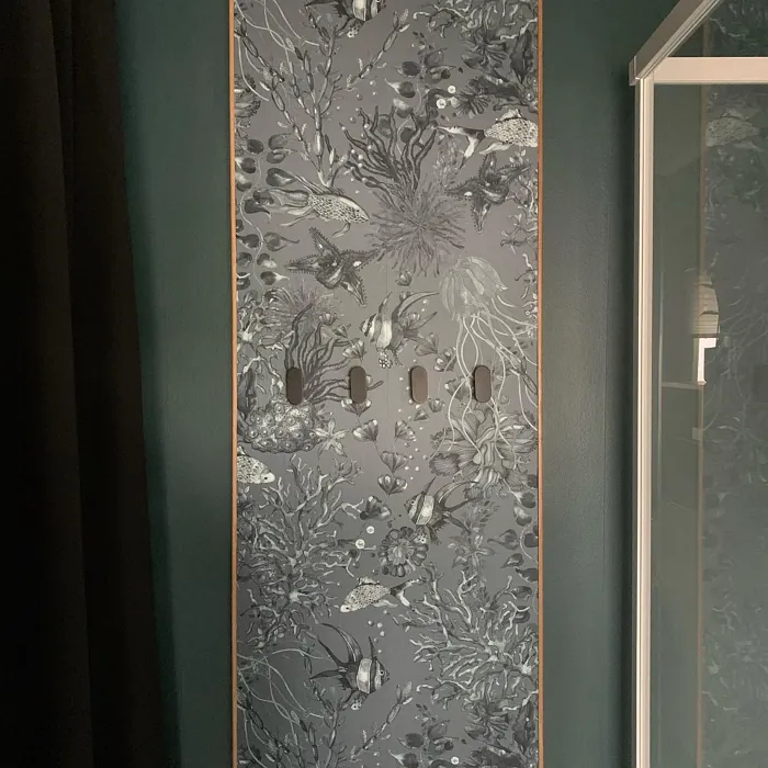 Jotun Dark Teal modern bathroom review