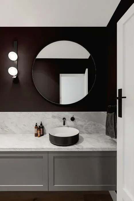 Sherwin Williams Darkroom minimalist bathroom