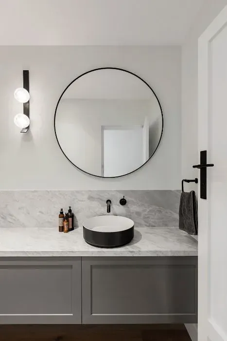Sherwin Williams Dashing minimalist bathroom