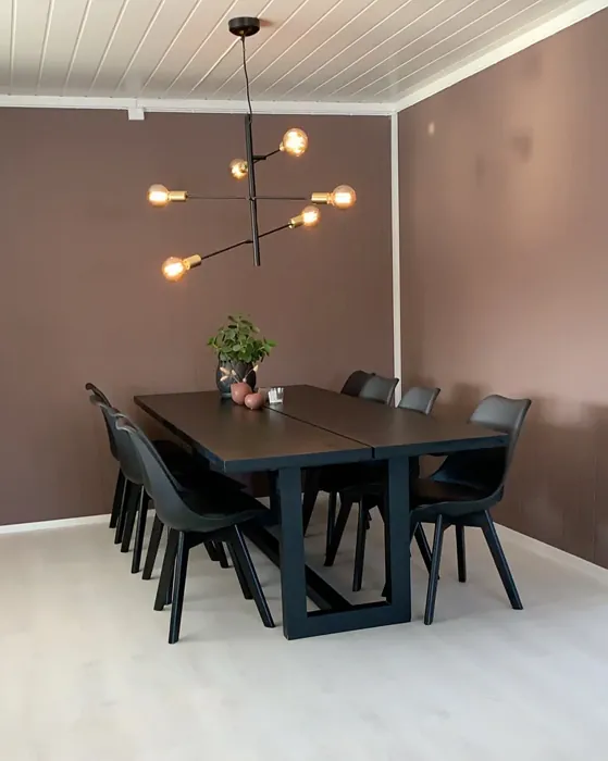 Jotun Daydream dining room color