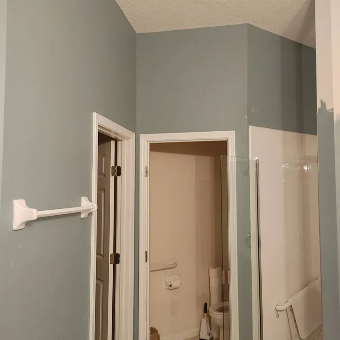 Bathroom dusted blue paint Debonair Sherwin Williams