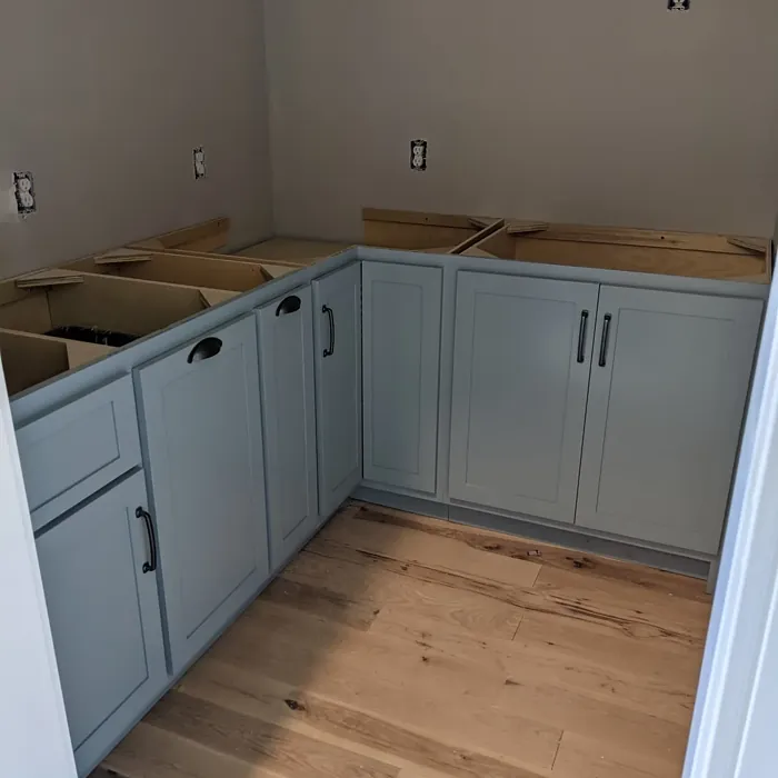 Sw 9139 Painted Cabinets