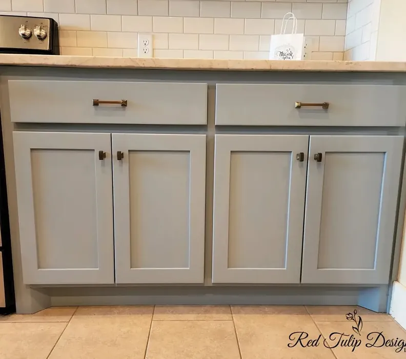Sherwin Williams Debonair cozy kitchen cabinets interior idea