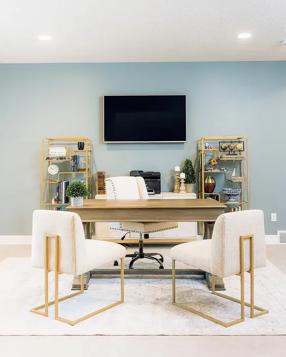SW 9139 modern home office paint