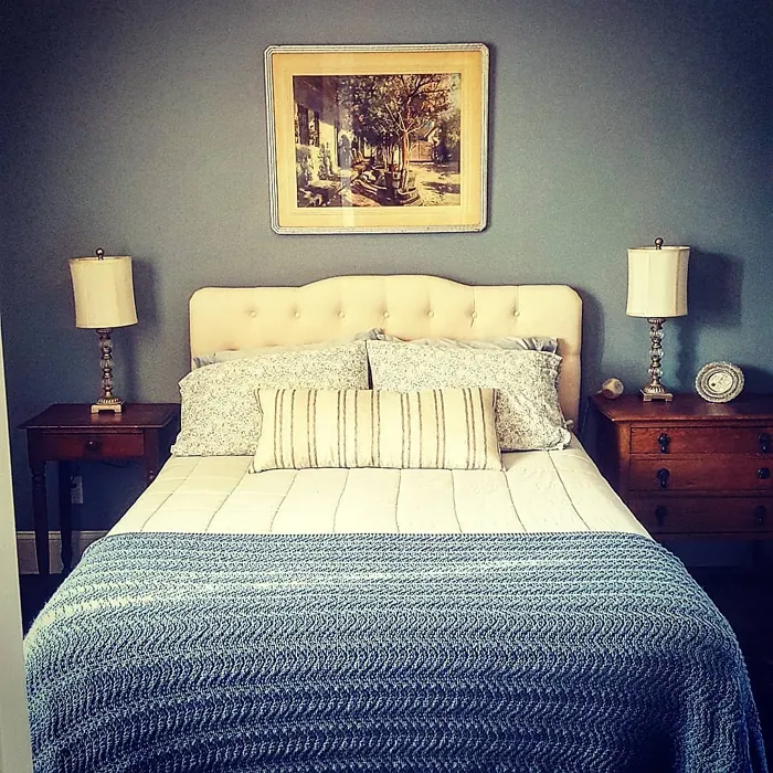 Sherwin Williams Debonair modern bedroom paint review
