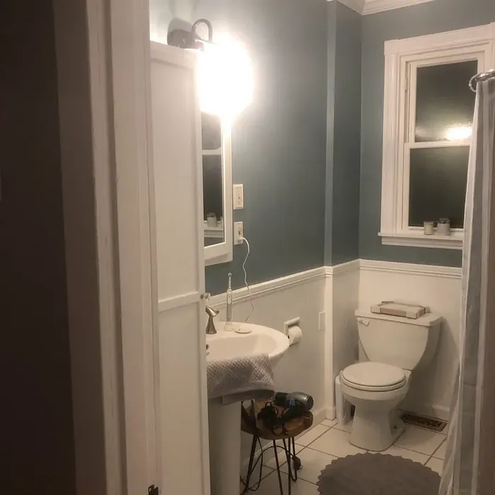 Sherwin Williams SW 9139 cozy bathroom color