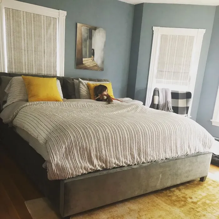 Sherwin Williams Debonair cozy bedroom color