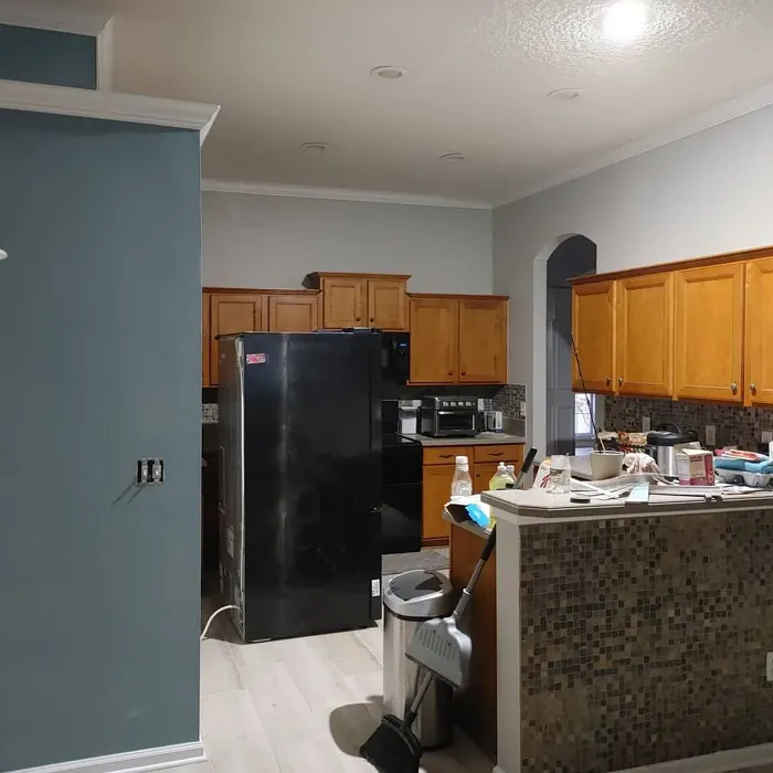 SW Debonair kitchen color