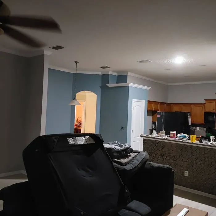 SW Debonair living room color