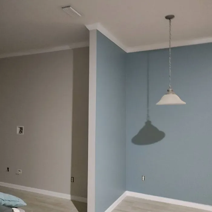 SW Debonair living room paint review