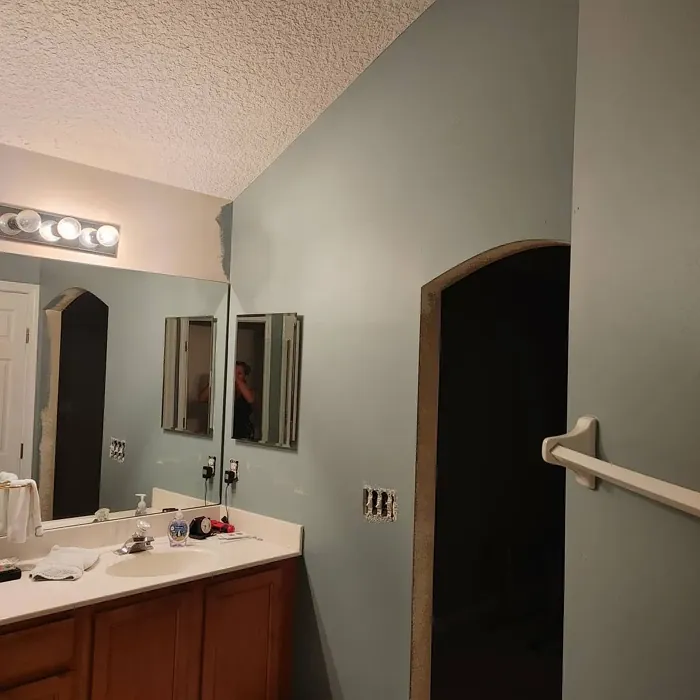 SW 9139 bathroom paint
