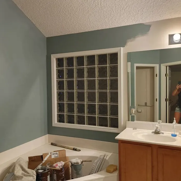 SW 9139 bathroom paint