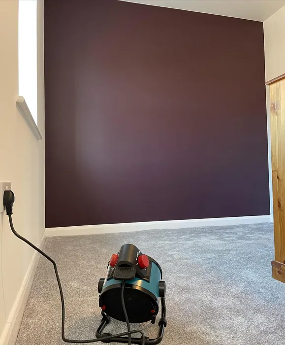 Dulux Decadent Damson accent wall 