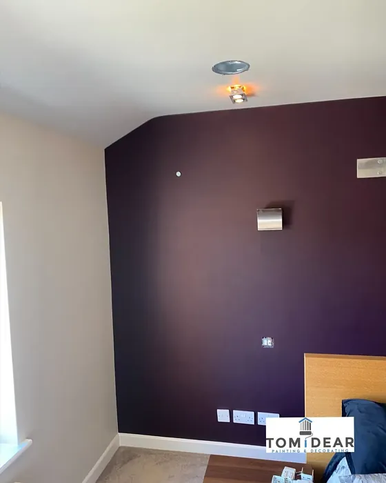 Dulux Decadent Damson accent wall color
