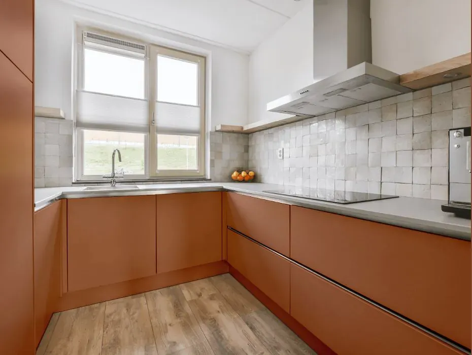 Sherwin Williams Decorous Amber small kitchen cabinets