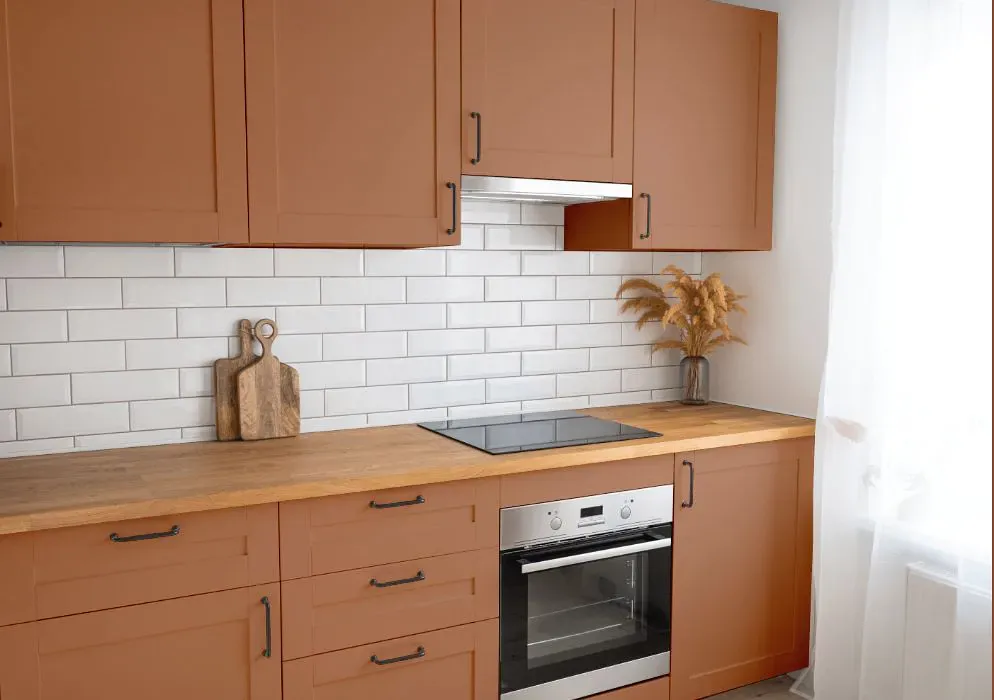 Sherwin Williams Decorous Amber kitchen cabinets