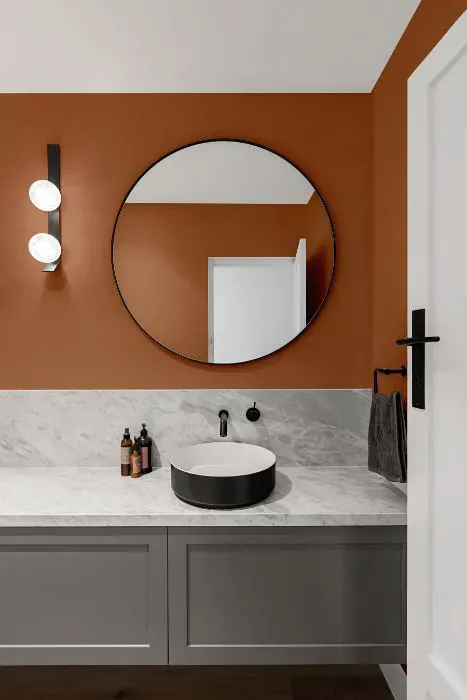 Sherwin Williams Decorous Amber minimalist bathroom