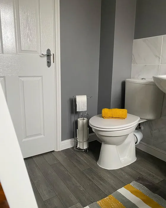 Dulux Grey Steel 1 bathroom color review