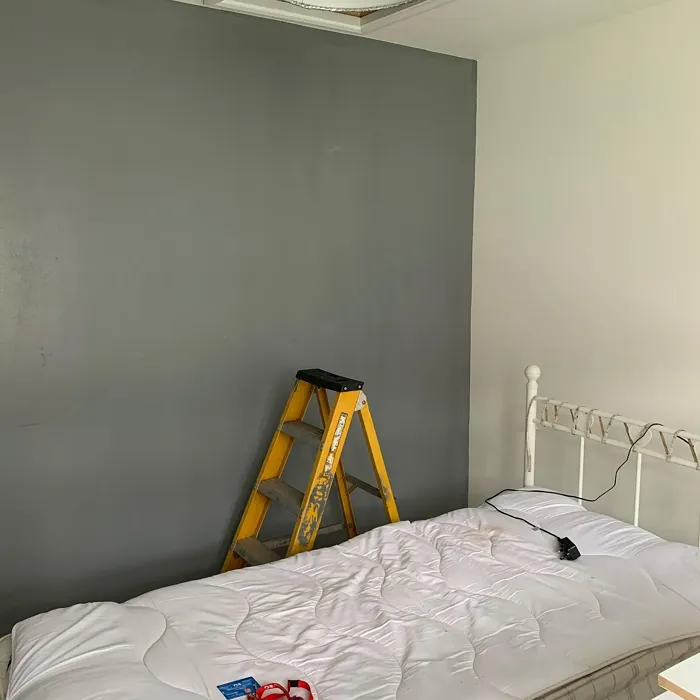 Grey Steel 1 bedroom accent wall