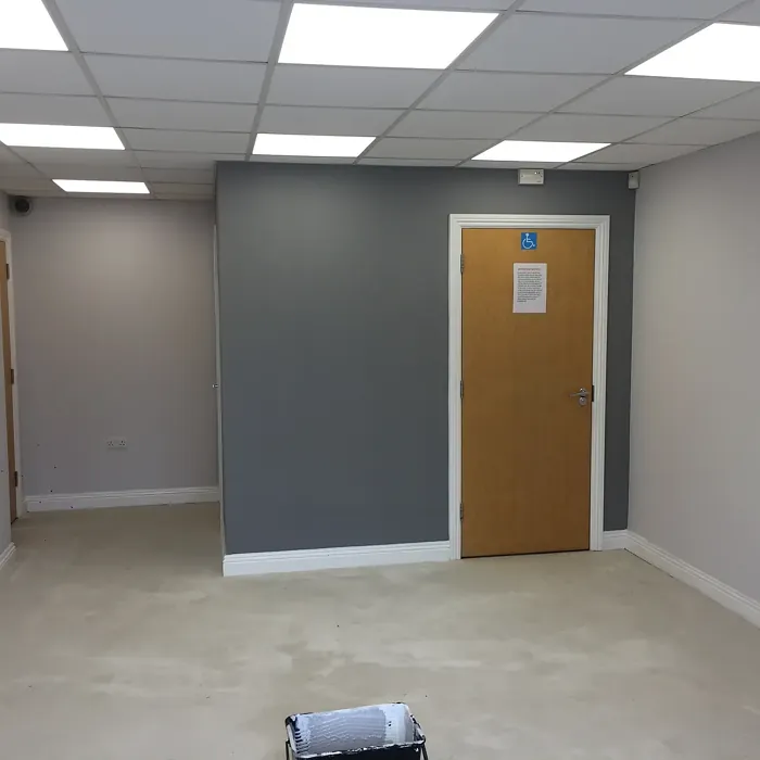 Dulux Grey Steel 1 office color