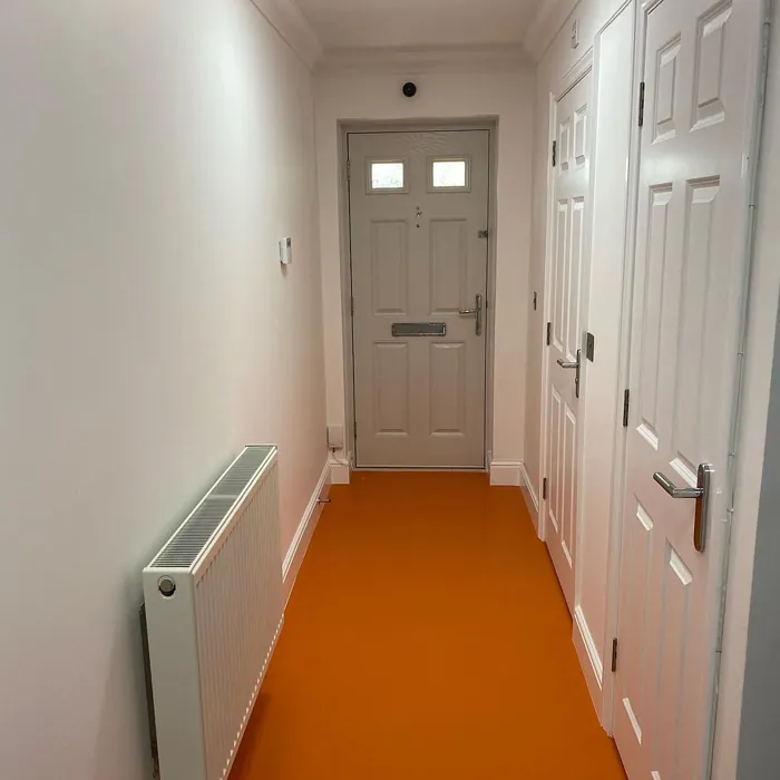 RAL Classic  Deep orange RAL 2011 flooring