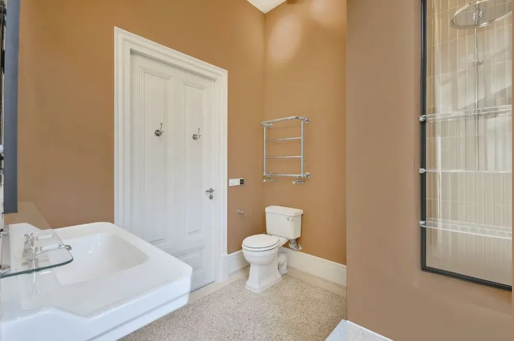 Sherwin Williams Deer Valley bathroom