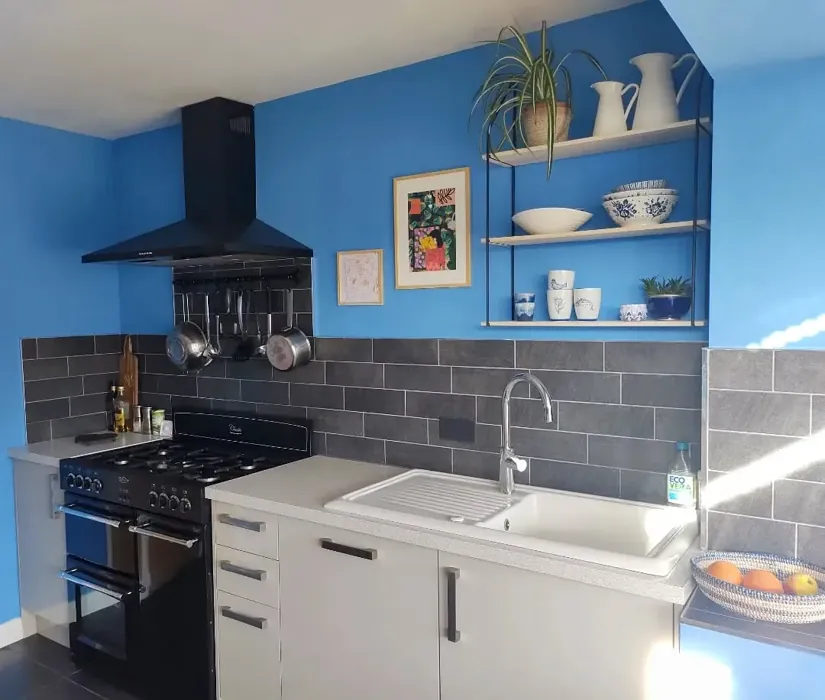 Delicate Cornflower eclectic kitchen interior