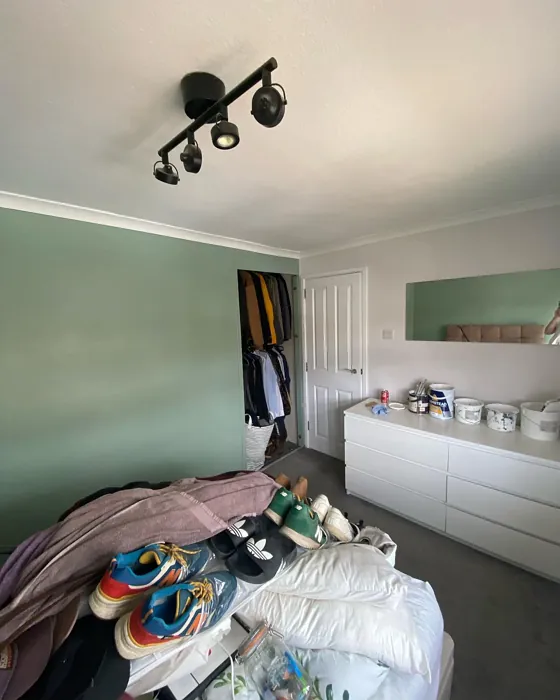 Dulux Delicate Veil bedroom color