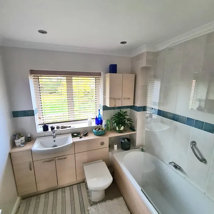 Dulux Delicate Veil bathroom color