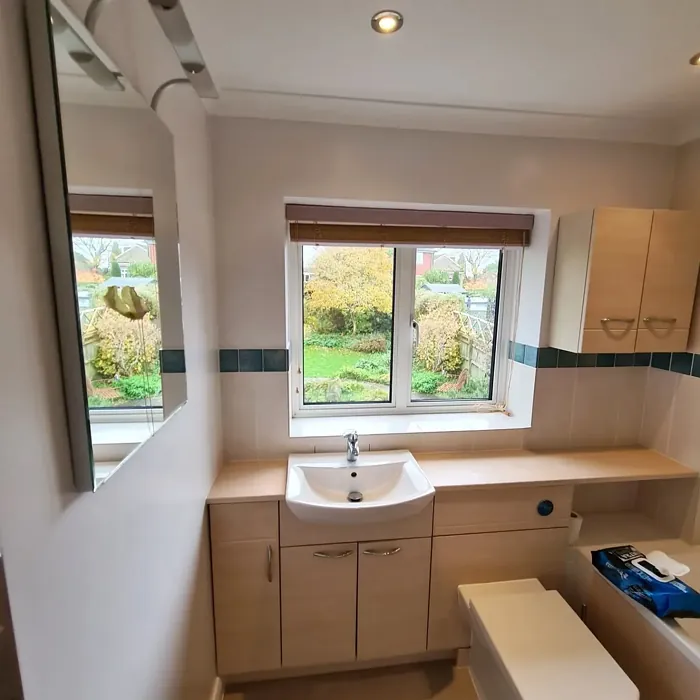 Dulux Delicate Veil bathroom color review