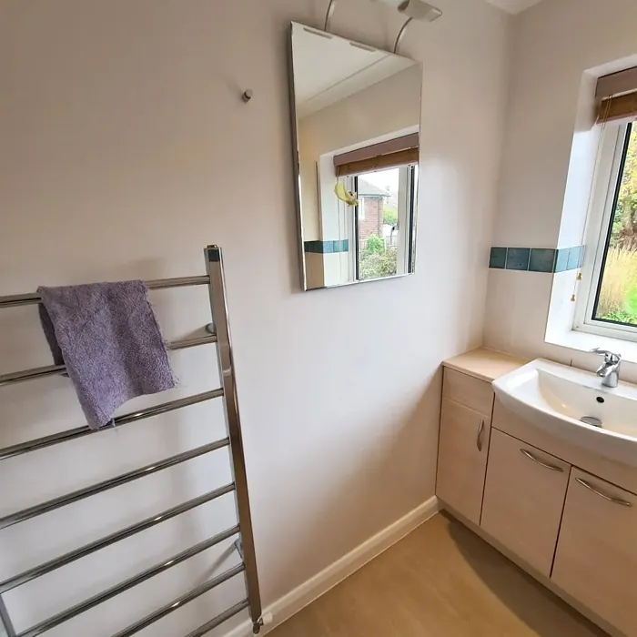 Dulux Bitter Chocolate 6 bathroom color review