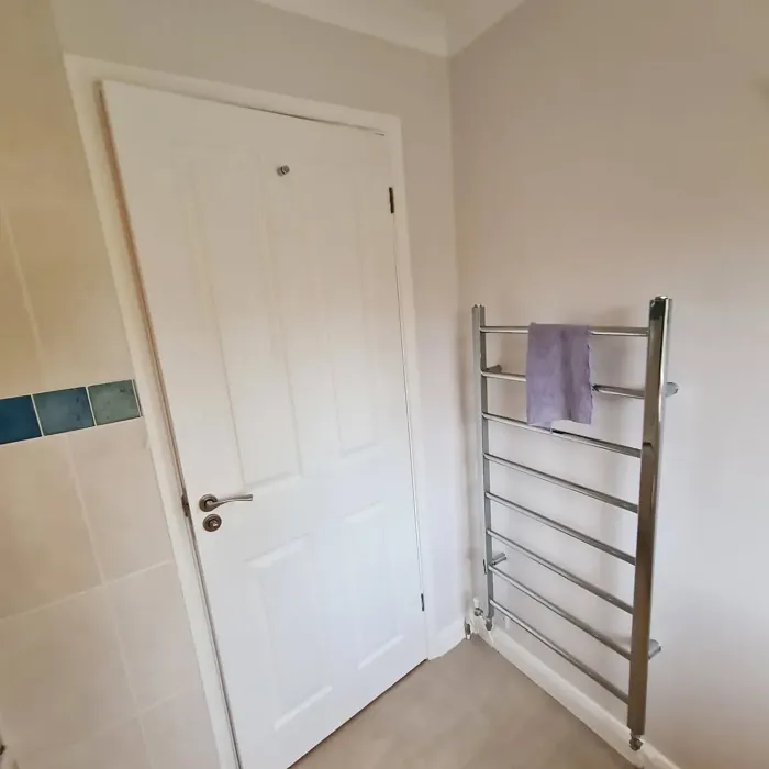 Dulux Bitter Chocolate 6 bathroom 