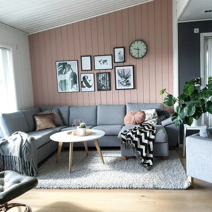 Jotun Delightful Pink living room paint