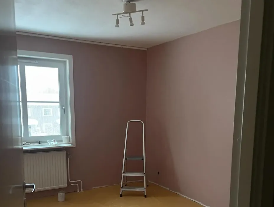 Jotun Delightful Pink wall paint review