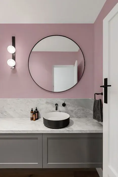Sherwin Williams Delightful minimalist bathroom