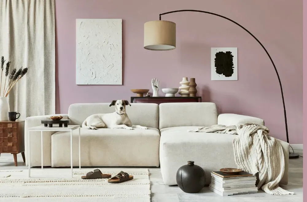 Sherwin Williams Delightful cozy living room