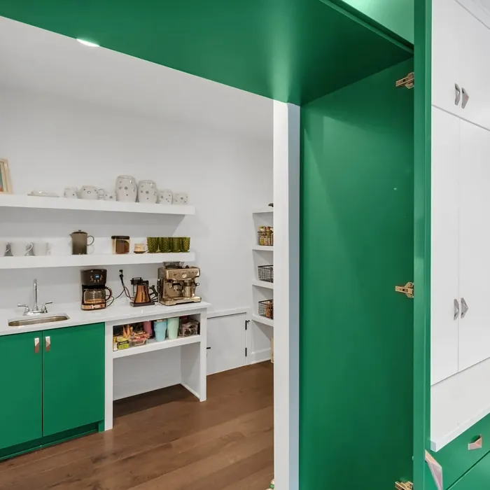 SW Derbyshire kitchen cabinets paint