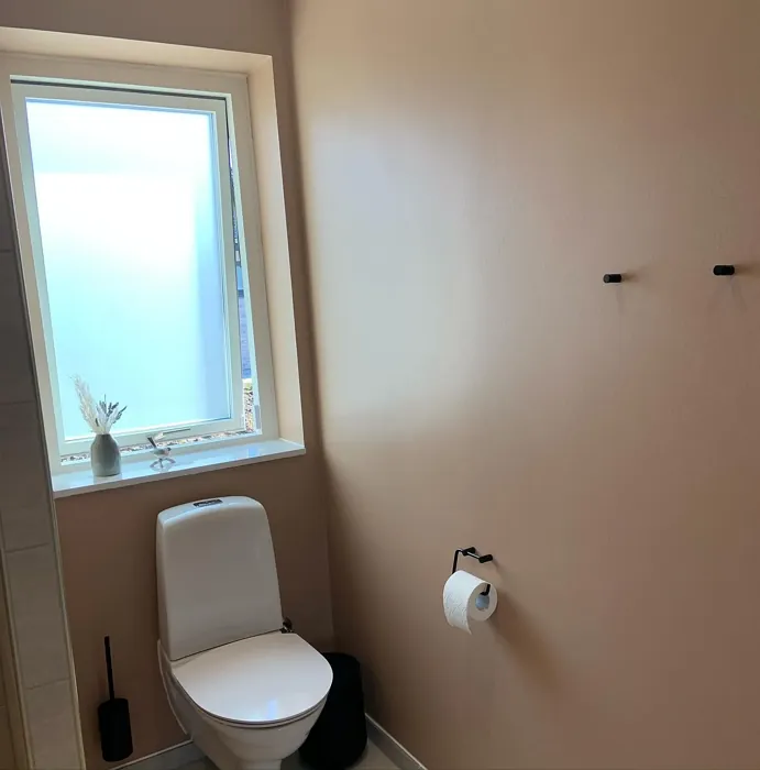 Jotun 12120 bathroom paint review