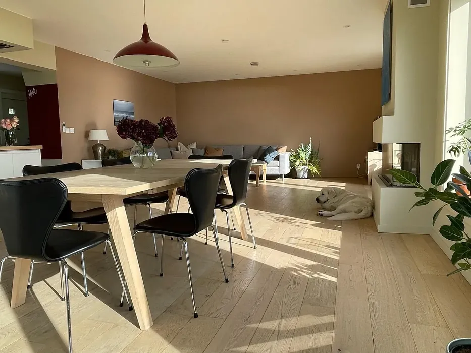 Jotun Desert Pink living room paint review
