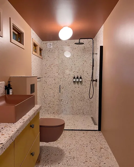 Jotun Desert Pink bathroom paint review