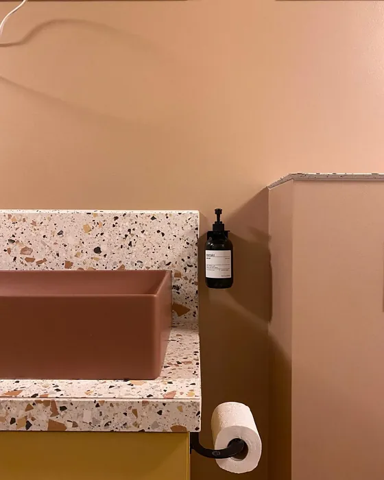 Jotun Desert Pink bathroom color