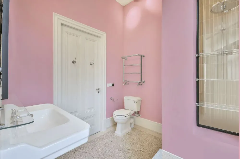 Sherwin Williams Desire Pink bathroom
