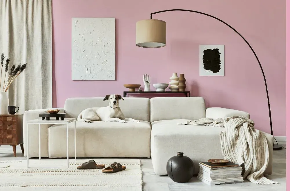 Sherwin Williams Desire Pink cozy living room